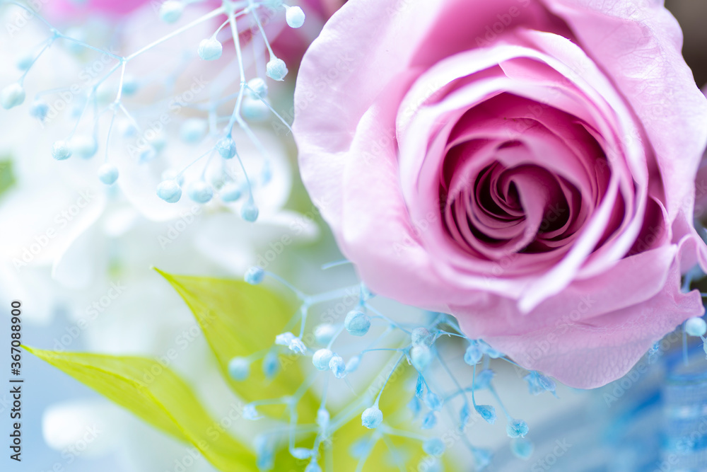 Bouquet of preserved rose flowers Bouquet of preserved rose flowers