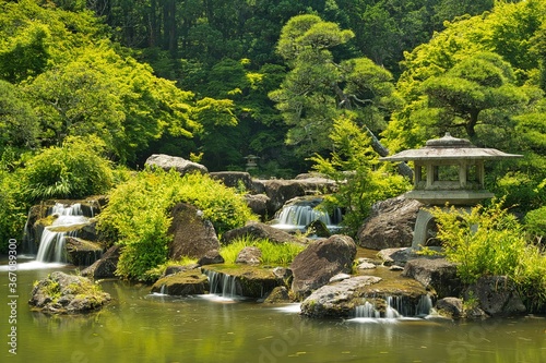 いろいろな緑のある庭園の風景