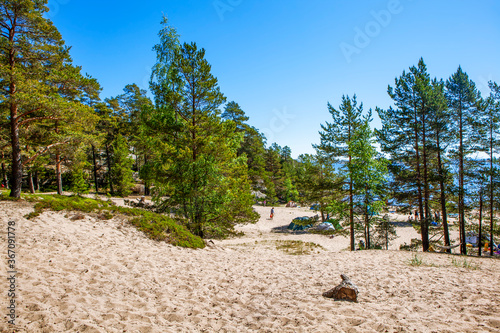 Koyonsaari Island (southeastern part). Ladoga lake. Karelia. Russia photo