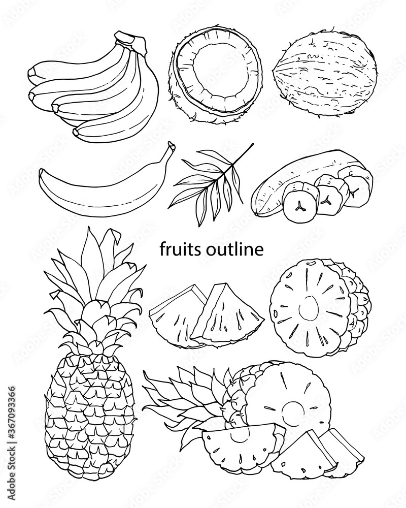 Vector set of contours of bananas, coconuts and pineapples. Element for coloring pages, logo