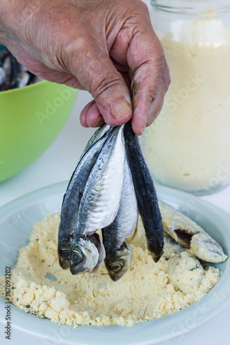 Hand of adult using corn flour for horse mackerel fish,close up photo