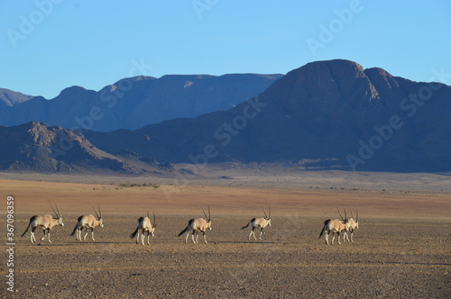 Road tripping through the Namibian Desert © ChrisOvergaard