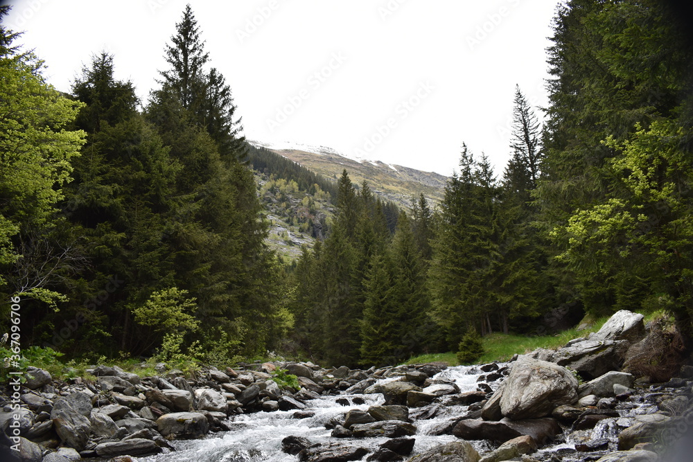rocky mountain river rocky mountain river