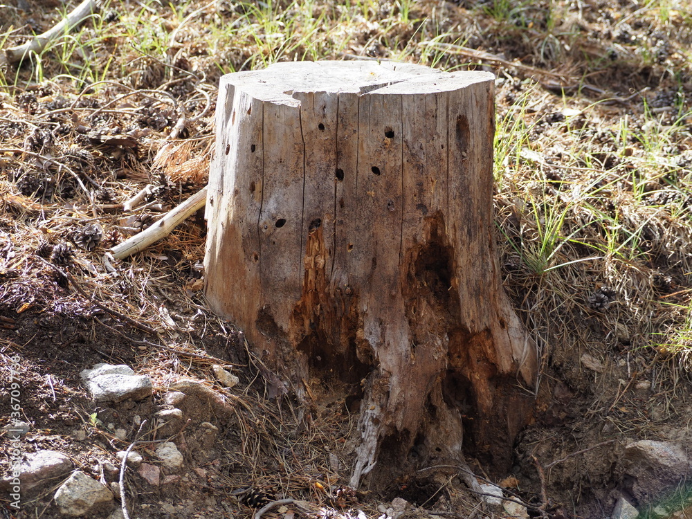 Fototapeta premium OLYMPUS DIGITAL CAMERA