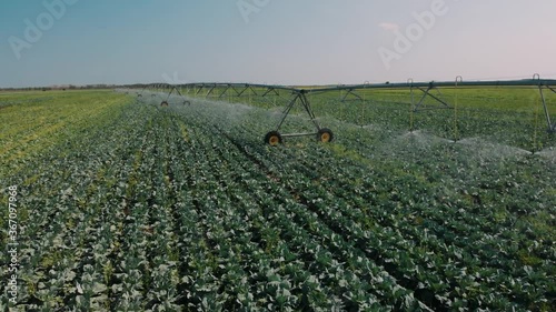 Irrigation of agricultural field. Water sprinkler system working on vegetable plantation. Large agriuclture field and mechanical irrigation system. Smart agriculture eco farming concept artificial int photo