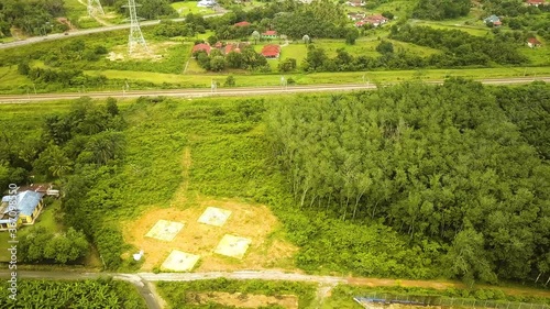 Aerial view of trees growing among Palm Trees Port Dickson Malaysia photo