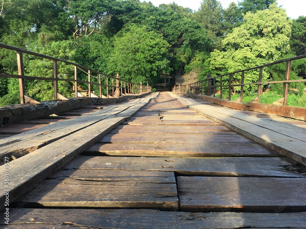 Fototapeta premium wooden bridge in the forest