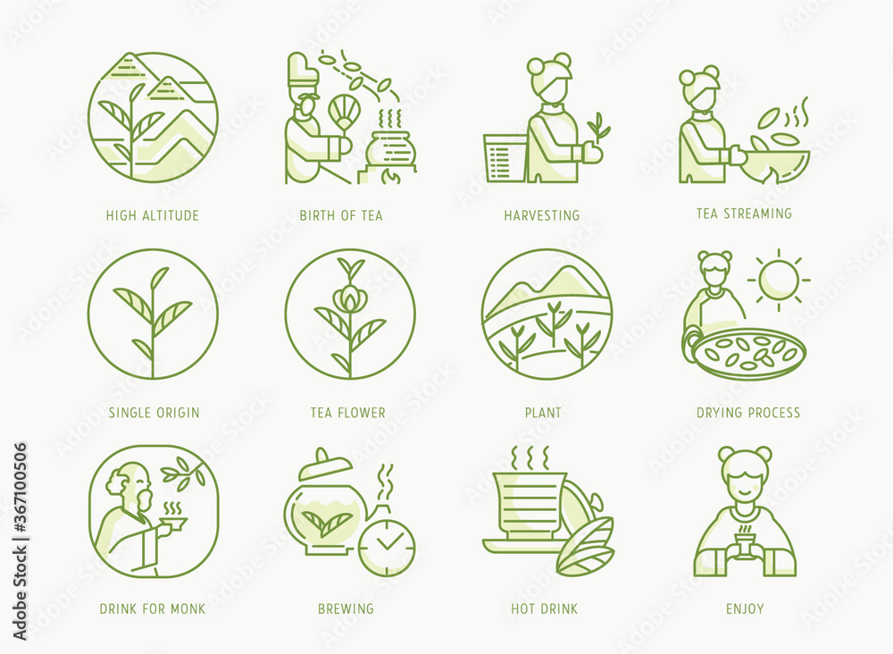 birth of Chinese tea icons set birth of Chinese tea icons set