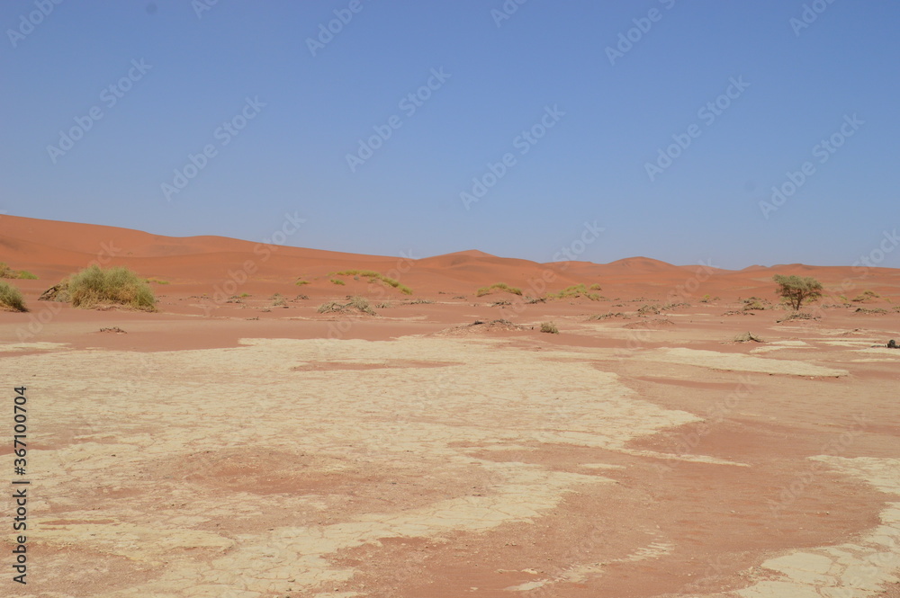 Fototapeta premium The red sand dunes of Sossusvlei in the Namib Desert, Namibia