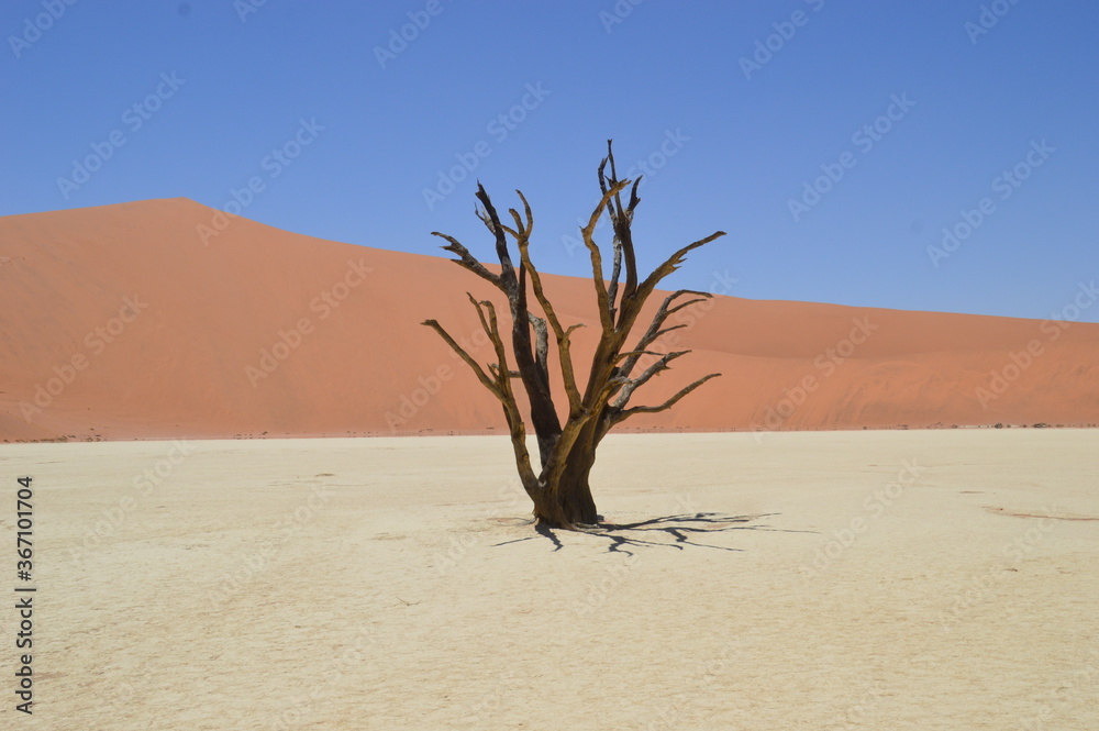The red sand dunes of the Namib Desert around Sossusvlei, Namibia The red sand dunes of the Namib Desert around Sossusvlei, Namibia