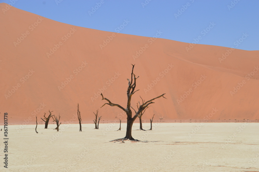 The red sand dunes of the Namib Desert around Sossusvlei, Namibia