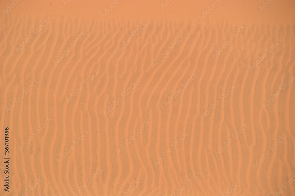 The red sand dunes of the Namib Desert around Sossusvlei, Namibia The red sand dunes of the Namib Desert around Sossusvlei, Namibia