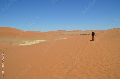 The red sand dunes of the Namib Desert around Sossusvlei  Namibia