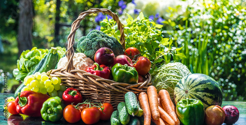 Variety of fresh organic vegetables and fruits in the garden
