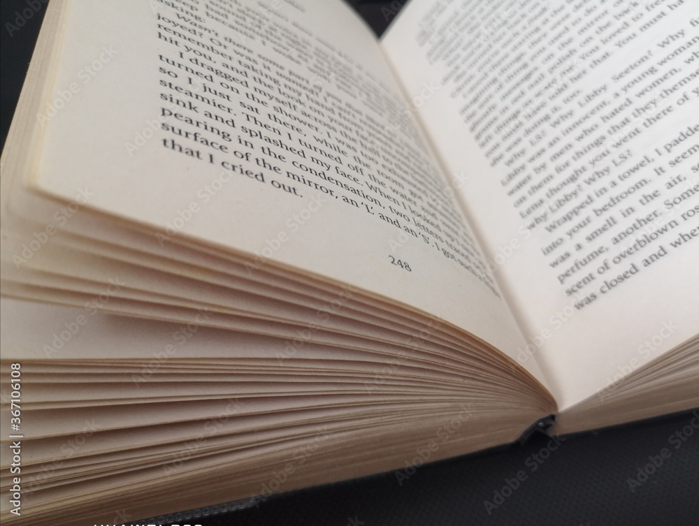 Fototapeta premium Open book