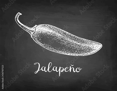 Ink sketch of jalapeno