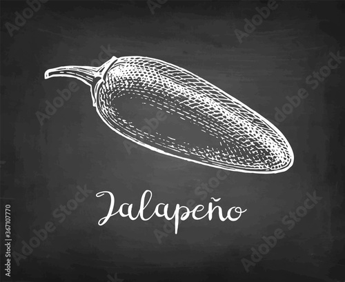 Ink sketch of jalapeno