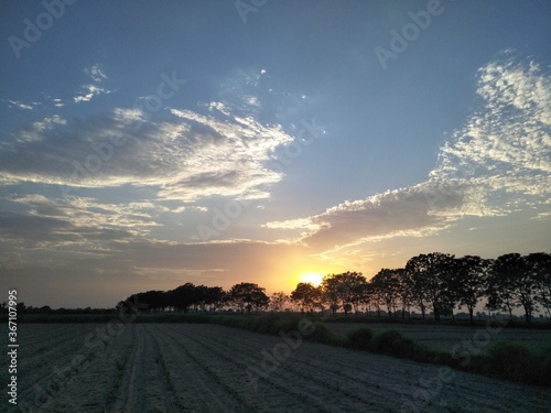 sunset over the field