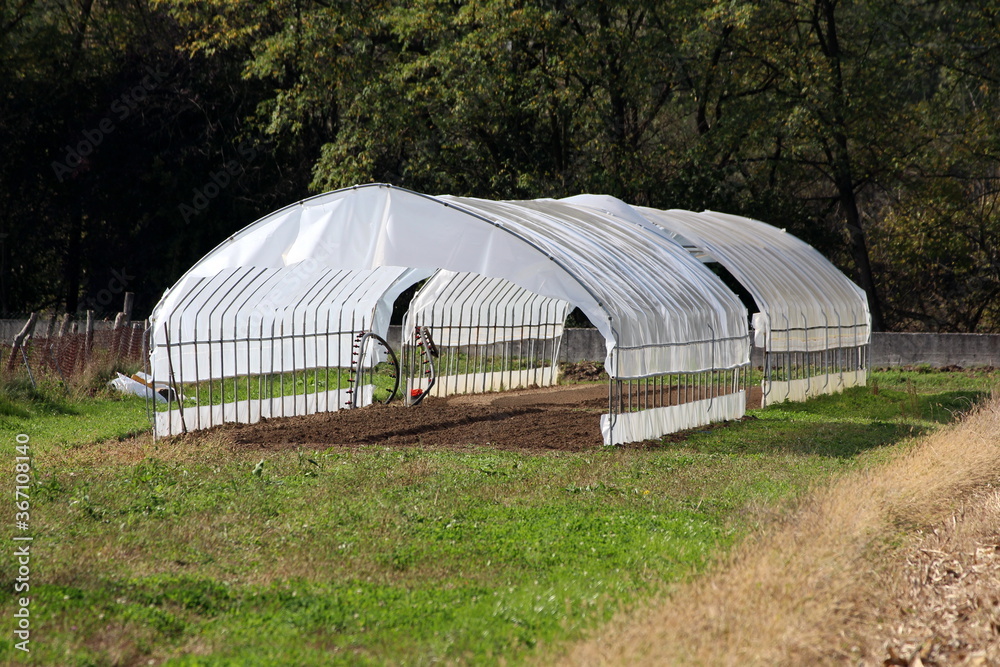Open large garden greenhouses made of metal pipes partially covered with semi transparent nylon built in family house backyard garden surrounded with garden plants and dense trees in background on war