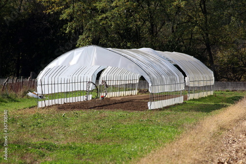 Open large garden greenhouses made of metal pipes partially covered with semi transparent nylon built in family house backyard garden surrounded with garden plants and dense trees in background on war