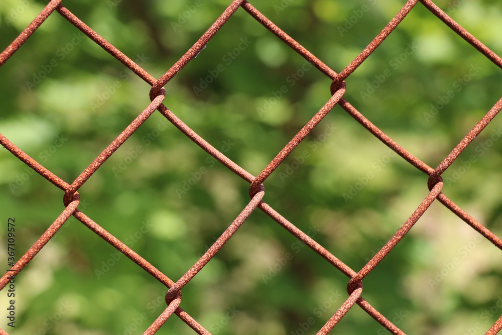 Fototapeta premium siatka ogrodzeniowa
