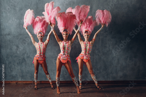 Canvas Print Three Women in samba or lambada costume with pink feathers plumage
