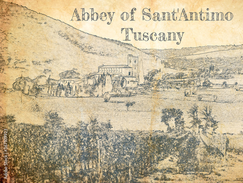 Sketch of Vineyards in Anney of Sant'Antimo, Tuscany, Italy