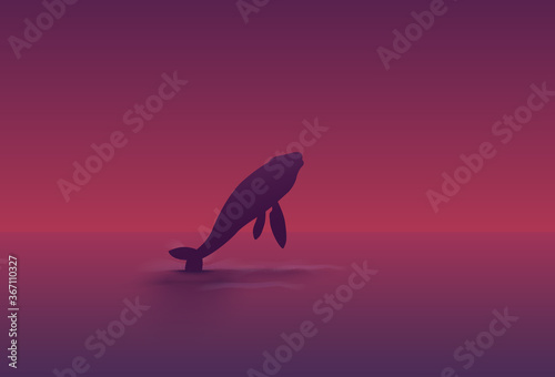 humpback whale jumping in the ocean at sunset