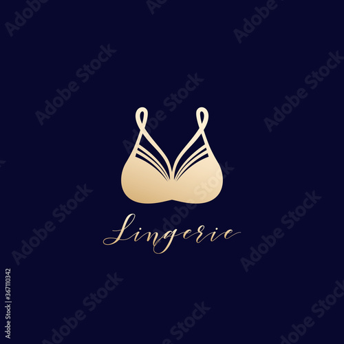 lingerie, bra vector logo design photo