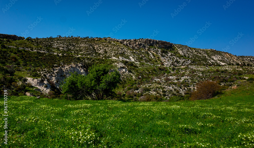 Water meadows and hills on the Mediterranean coast on the island of Cyprus.