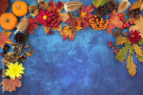Autumn harvest festival background border with food, flora and fauna on mottled blue grunge background. Top view.  photo