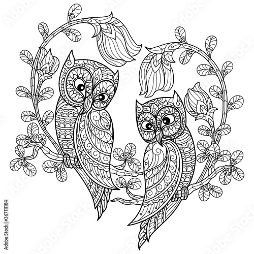 Love of Owls. Hand drawn sketch illustration for adult coloring book