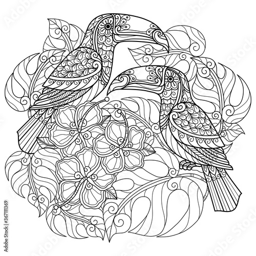Tucan bird with Monsteraleaves. Hand drawn sketch illustration for adult coloring book