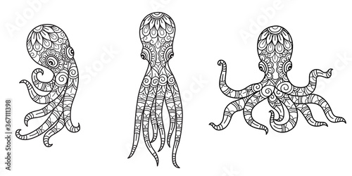 Octopus pattern. Hand drawn sketch illustration for adult coloring book.