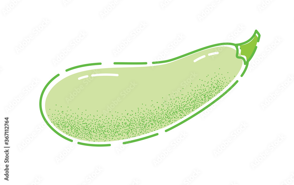 Zucchini. Vector illustration of a tasty green vegetable in flat and line-art style for print, banner or postcard. Zucchini. Vector illustration of a tasty green vegetable in flat and line-art style for print, banner or postcard.