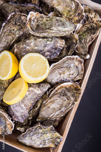 Frische Austern in Holzkiste mit Zitrone