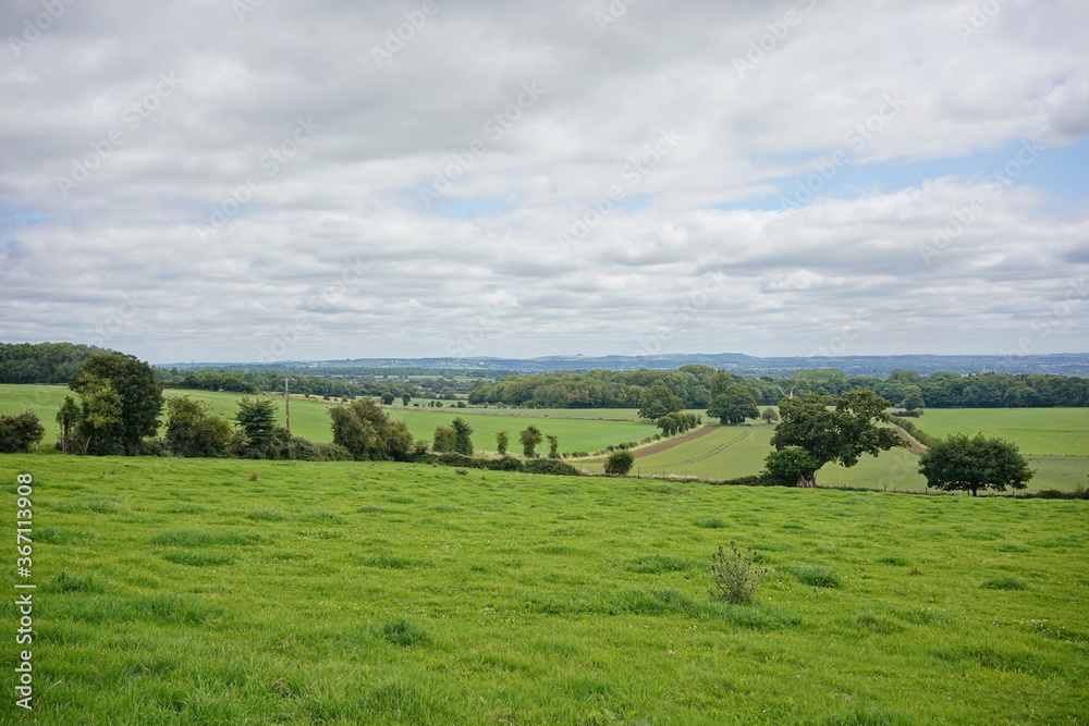 rural landscape with green field and cloudy blue sky