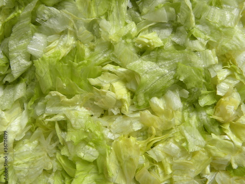 Chopped light green color raw Iceberg lettuce