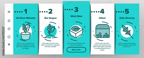 Arugula Or Rucola Onboarding Mobile App Page Screen Vector. Arugula Plant In Greenhouse And Garden, On Plate And Fork, Leaf Spice For Meal Illustrations