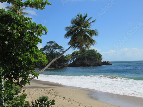 Fototapeta Naklejka Na Ścianę i Meble -  Tropical beach with palm trees, Dominican Republic