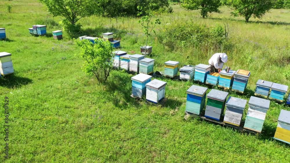Apiary in summer. Wooden hives on green grass among nature. Male apiculturist inspects bees in a bright day. Aerial view. Apiary in summer. Wooden hives on green grass among nature. Male apiculturist inspects bees in a bright day. Aerial view.