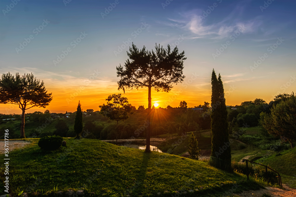Scenic view at beautiful spring sunset in a park with green grass, dark shaded trees and golden sun rays, deep blue sky , tree shades spring valley landscape