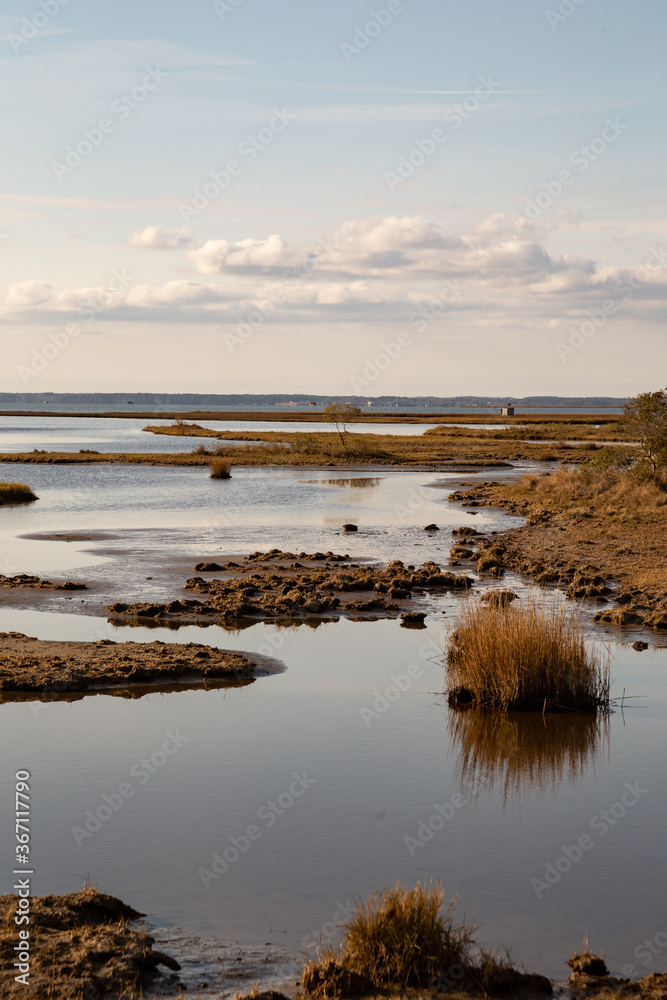 Late autumn swamp at coast line with clouds at far end
