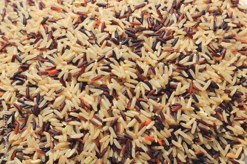 background of rice © Metinee