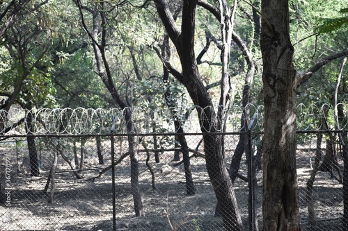 Fotografía A zoo is a facility in which animals are housed within enclosures, cared for, di