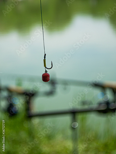 Hook and bait on fishing