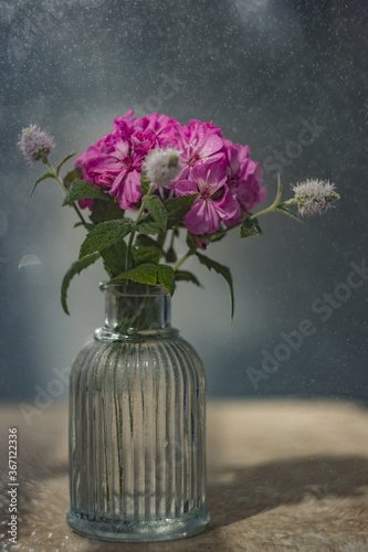 Mint and Geranium