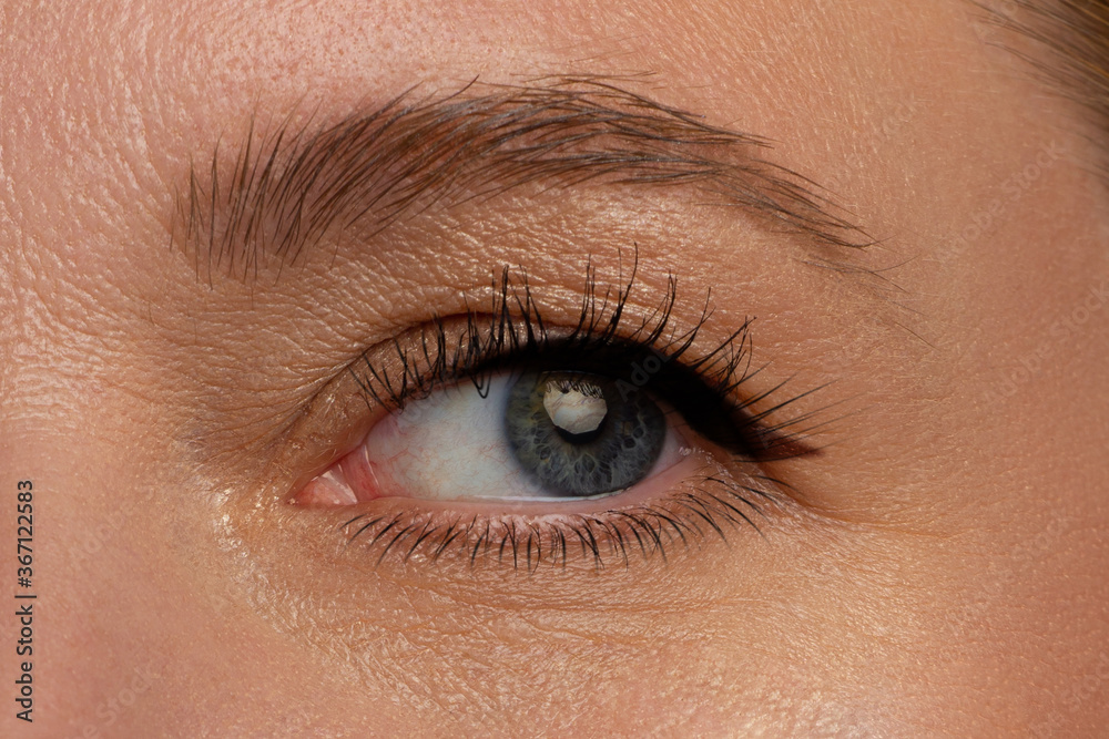 Close up view of beautiful gray female eye. Perfect trendy eyebrow, long eyelashes and black eyeliner. Good vision, contact lenses, brow bar or fashion eyebrow makeup. Spa, surgery and cosmetology Close up view of beautiful gray female eye. Perfect trendy eyebrow, long eyelashes and black eyeliner. Good vision, contact lenses, brow bar or fashion eyebrow makeup. Spa, surgery and cosmetology