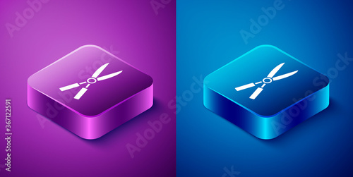 Isometric Gardening handmade scissors for trimming icon isolated on blue and purple background. Pruning shears with wooden handles. Square button. Vector Illustration.