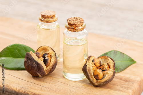 Camellia essential oil bottle and camellia seeds on wooden table. Beauty, skin care, wellness photo